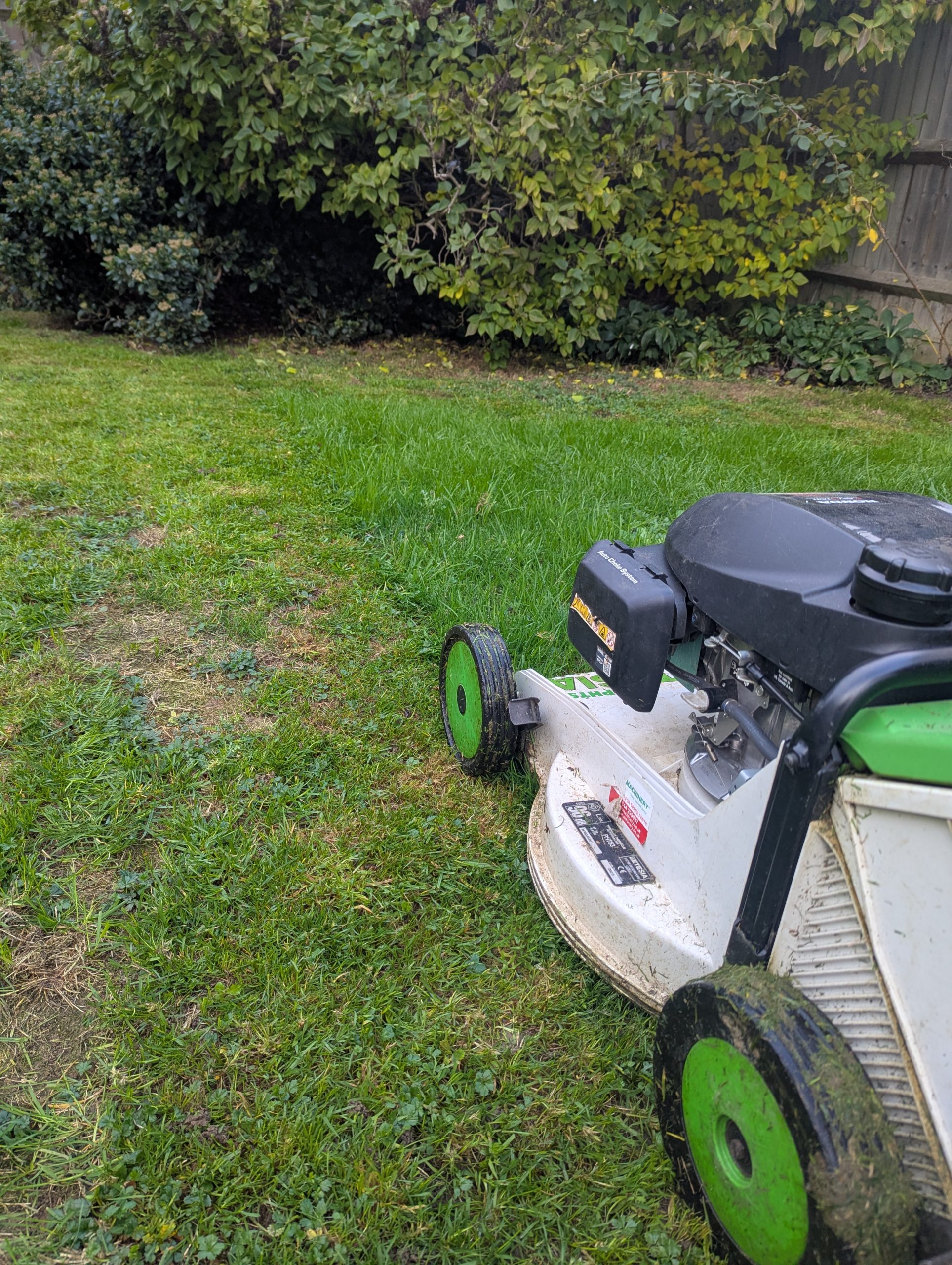 PXL_20251015_075121839